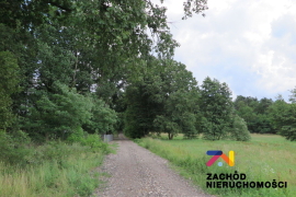 Działka budowlana z projektem domu w Gronowie